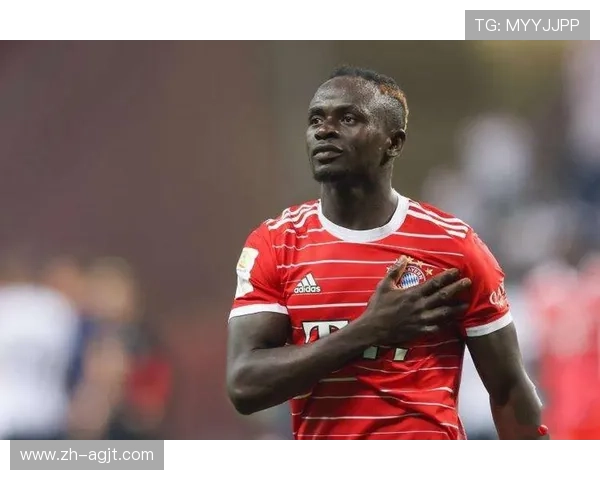 马内曾效力于哪支德甲球队？球员履历盘点